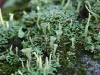 o_Tne marvelous in Nature3
